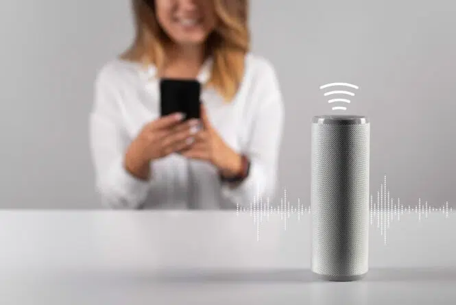 How to Optimise Your Website For Voice Search