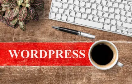 10 Reasons to use WordPress