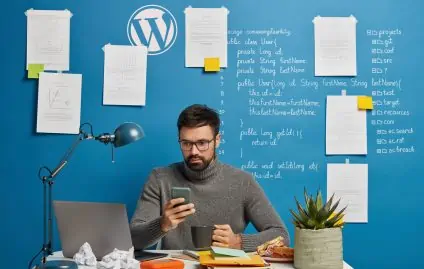 This is Why You Need a WordPress Developer
