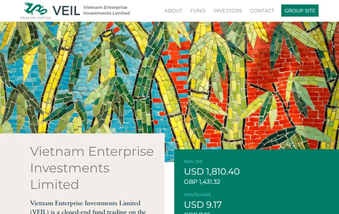 Vietnam Enterprise Investments