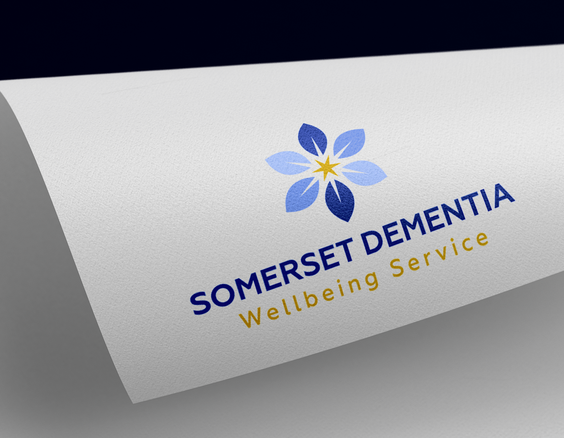 Somerset Dementia Wellbeing Service Paid Media