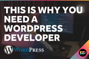 This is Why You Need a WordPress Developer