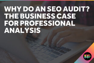 Why do an SEO Audit? The Business Case for Professional Analysis