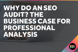 Why do an SEO Audit? The Business Case for Professional Analysis