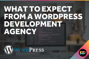What to Expect from a WordPress Development Agency