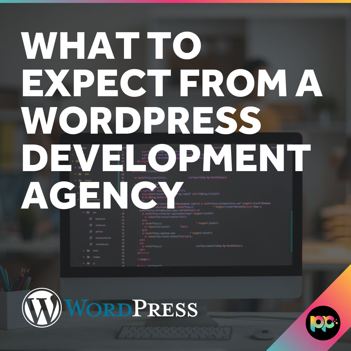 What to Expect from a WordPress Development Agency
