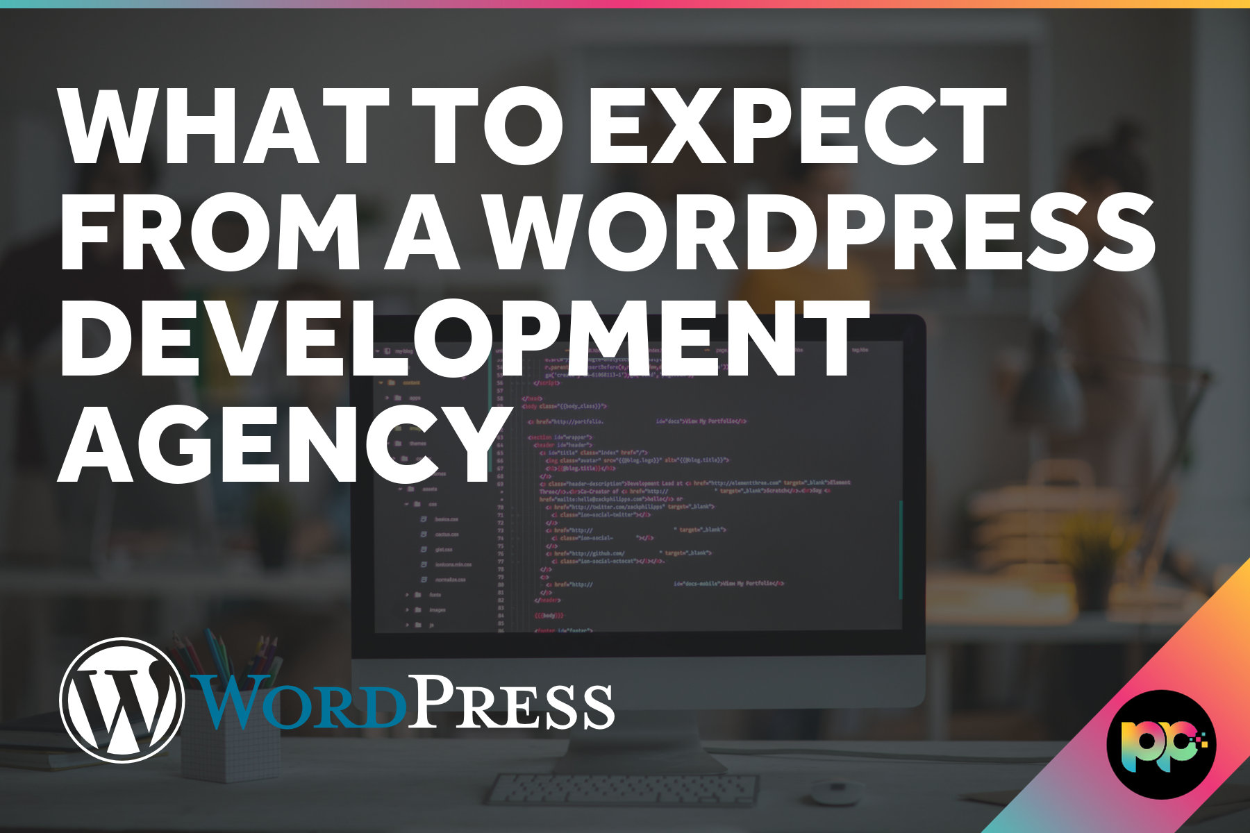 What to Expect from a WordPress Development Agency