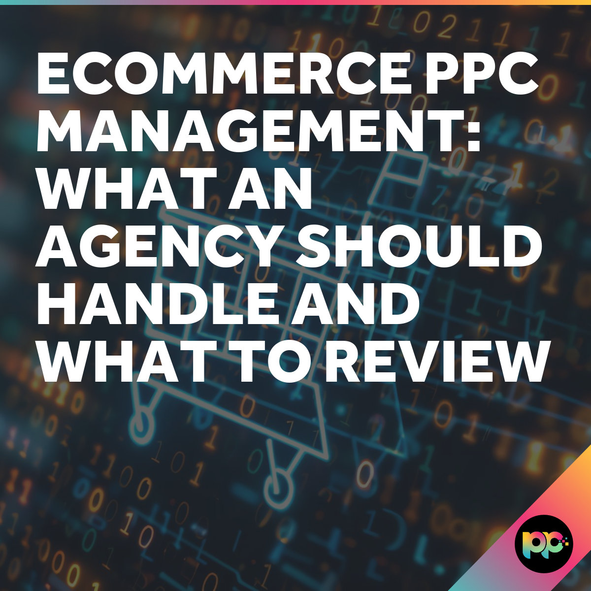 Ecommerce PPC Management