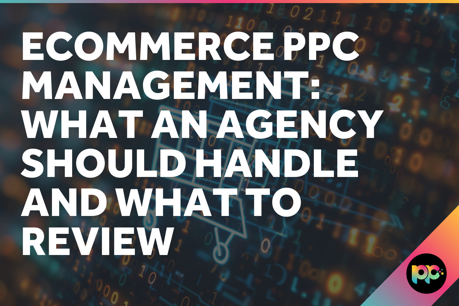 Ecommerce PPC Management: What an Agency Should Handle and What to Review