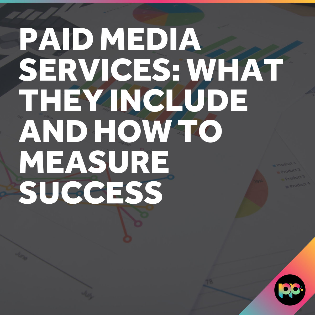 Paid Media Services: What They Include