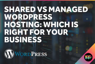 Shared vs Managed WordPress Hosting: Which Is Right for Your Business