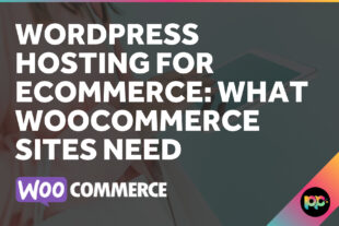 WordPress Hosting for Ecommerce: What WooCommerce Sites Need