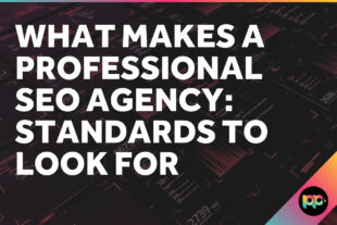 What Makes a Professional SEO Agency: Standards to Look For