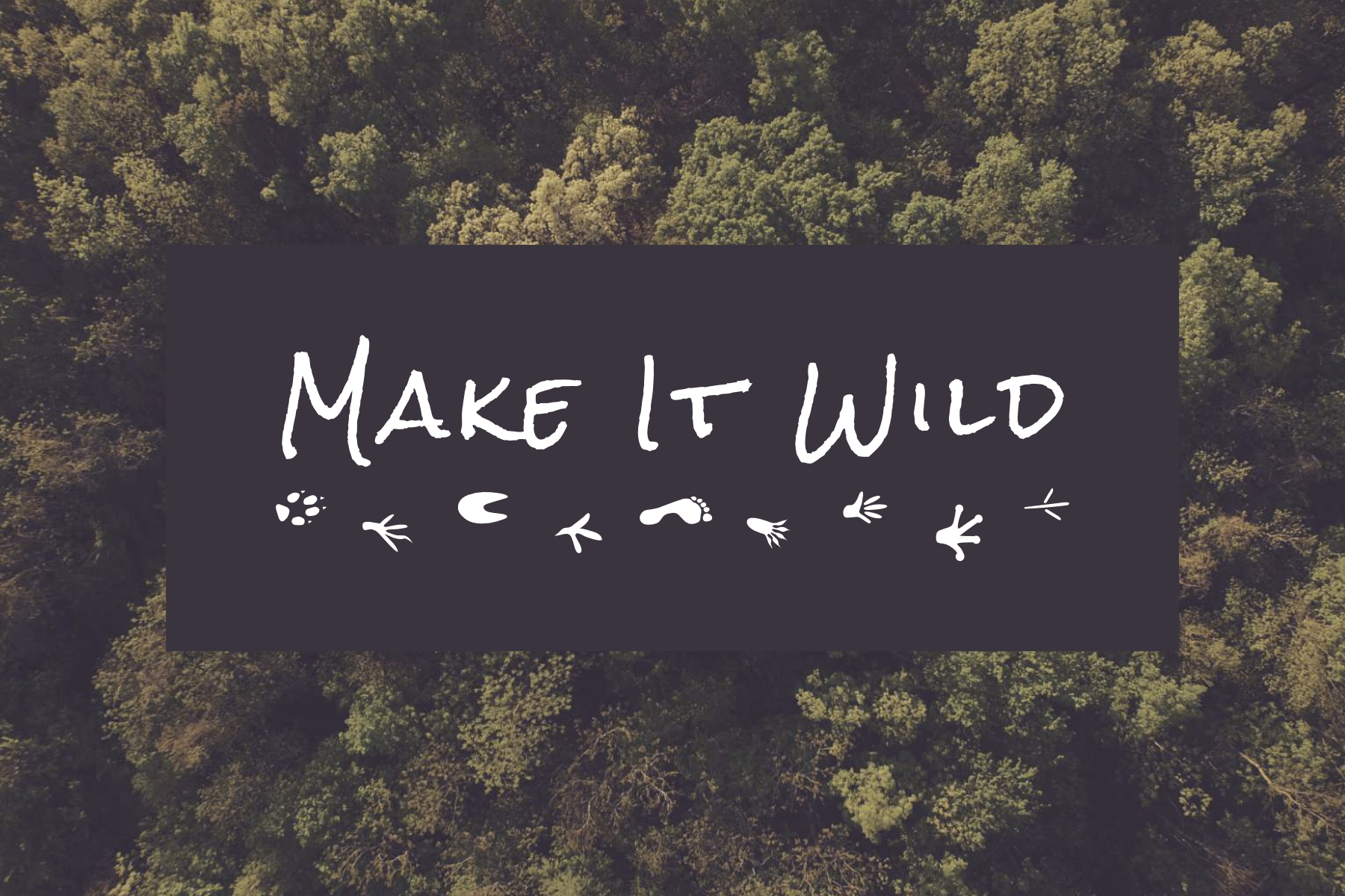 Make It Wild