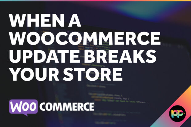 When a WooCommerce Update Breaks Your Store
